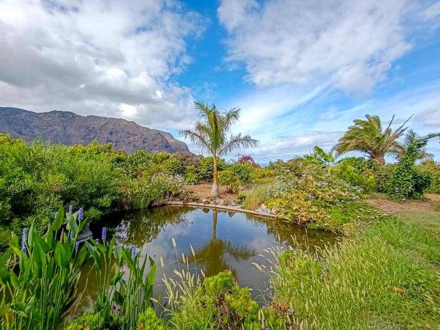 Maalaistalo myytävänä paikassa Buenavista del Norte - 895 000 € (Ref: 9337037)