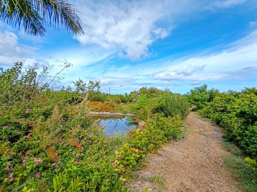 Maalaistalo myytävänä paikassa Buenavista del Norte - 895 000 € (Ref: 9337037)