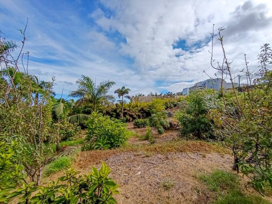 Maalaistalo myytävänä paikassa Buenavista del Norte - 895 000 € (Ref: 9337037)