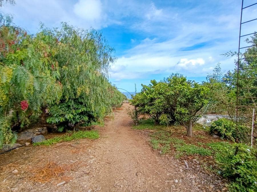 Maalaistalo myytävänä paikassa Buenavista del Norte - 895 000 € (Ref: 9337037)