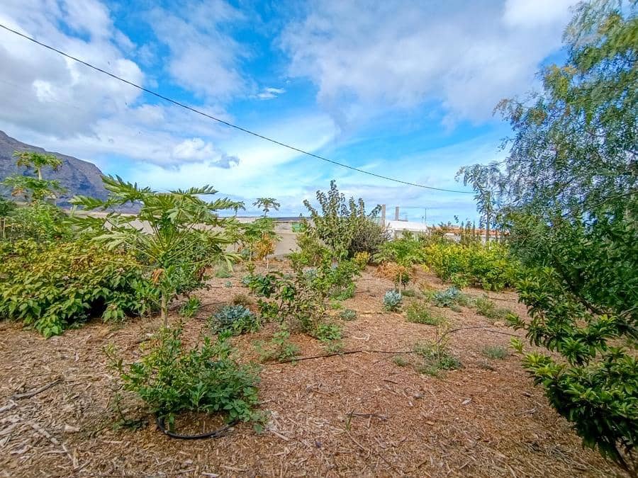 Maalaistalo myytävänä paikassa Buenavista del Norte - 895 000 € (Ref: 9337037)