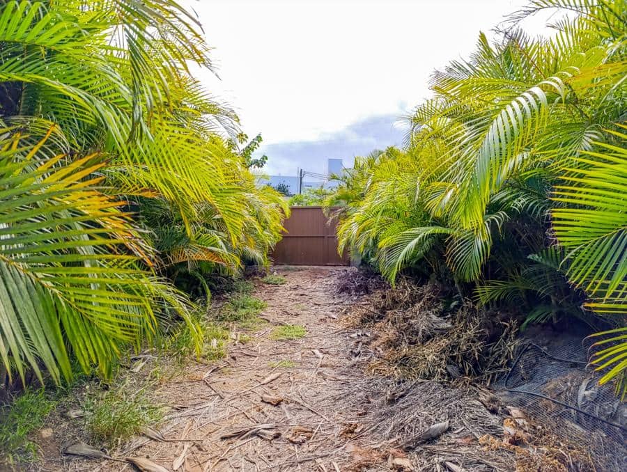 Maalaistalo myytävänä paikassa Buenavista del Norte - 895 000 € (Ref: 9337037)