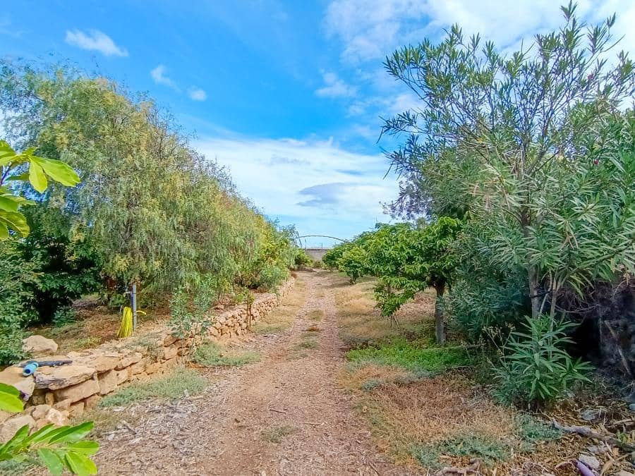 Maalaistalo myytävänä paikassa Buenavista del Norte - 895 000 € (Ref: 9337037)