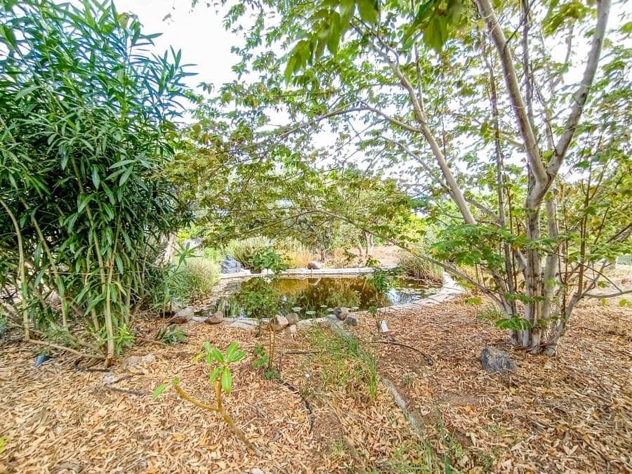 Maalaistalo myytävänä paikassa Buenavista del Norte - 895 000 € (Ref: 9337037)