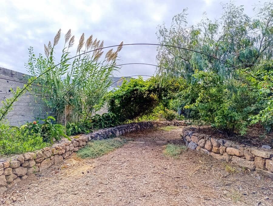 Maalaistalo myytävänä paikassa Buenavista del Norte - 895 000 € (Ref: 9337037)