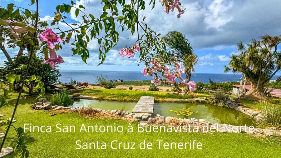 Maalaistalo myytävänä paikassa Buenavista del Norte - 895 000 € (Ref: 9337037)