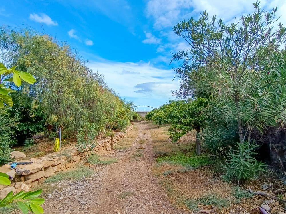 Finca/Country House for sale in Buenavista del Norte - € 890,000 (Ref: 9337037)