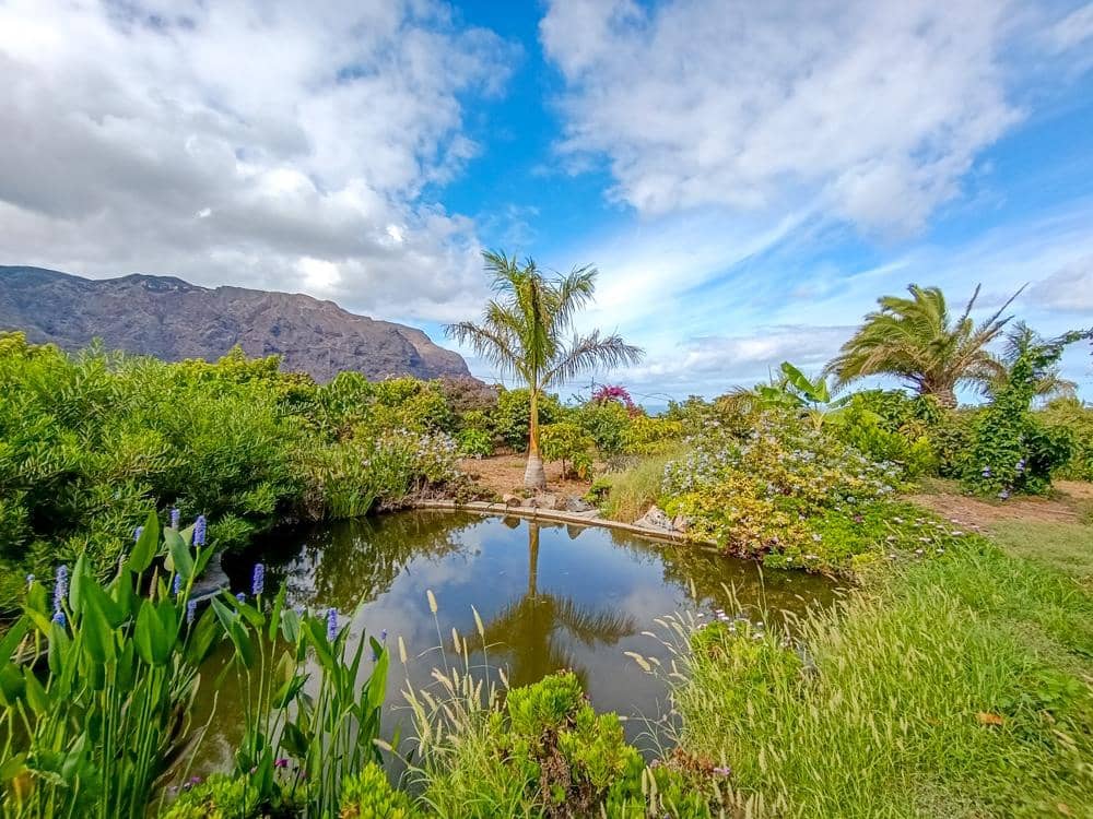 Finca/Country House for sale in Buenavista del Norte - € 890,000 (Ref: 9337037)