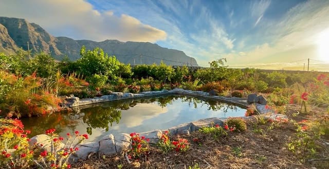 Maalaistalo myytävänä paikassa Buenavista del Norte - 890 000 € (Ref: 9337037)