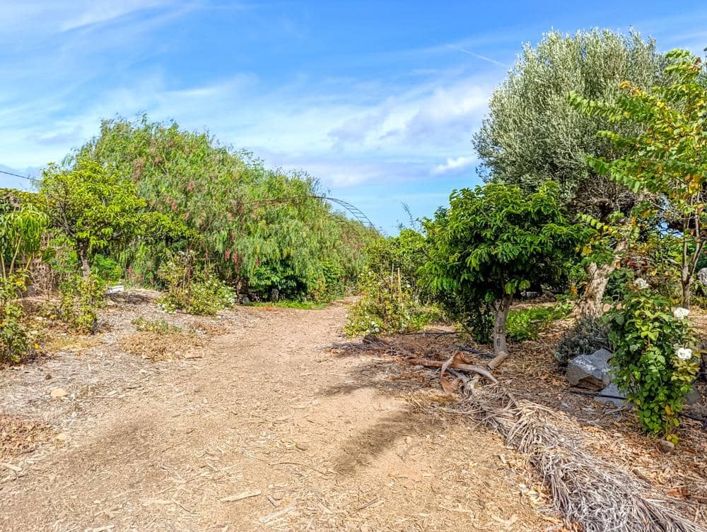 Finca/Country House for sale in Buenavista del Norte - € 890,000 (Ref: 9337037)