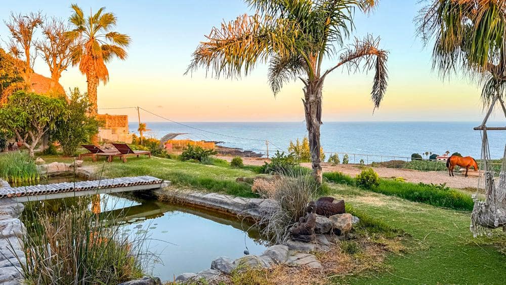 Finca/Country House for sale in Buenavista del Norte - € 890,000 (Ref: 9337037)