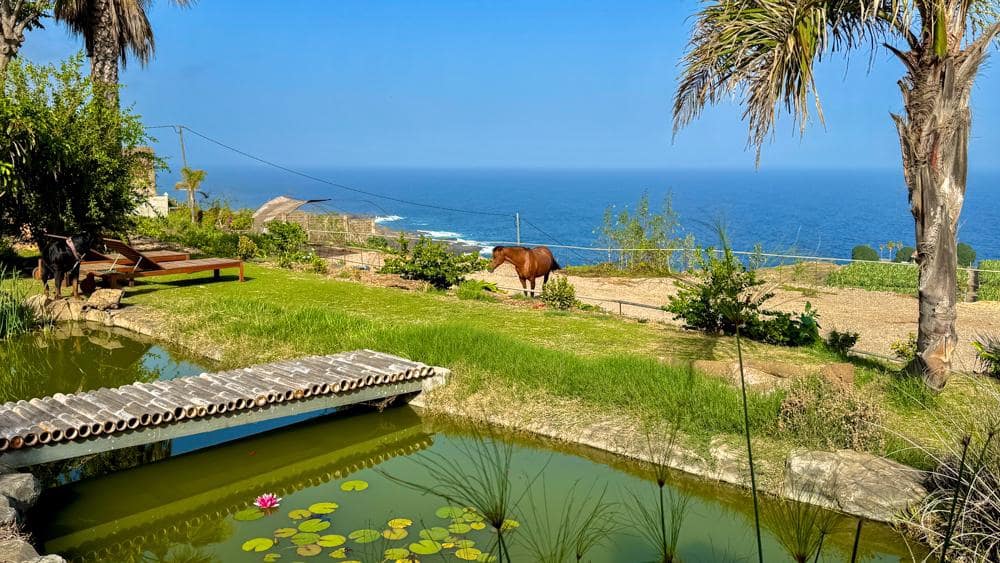 Finca/Country House for sale in Buenavista del Norte - € 890,000 (Ref: 9337037)