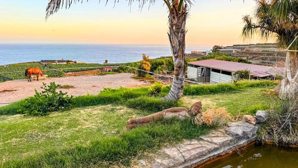 Finca/Country House for sale in Buenavista del Norte - € 890,000 (Ref: 9337037)