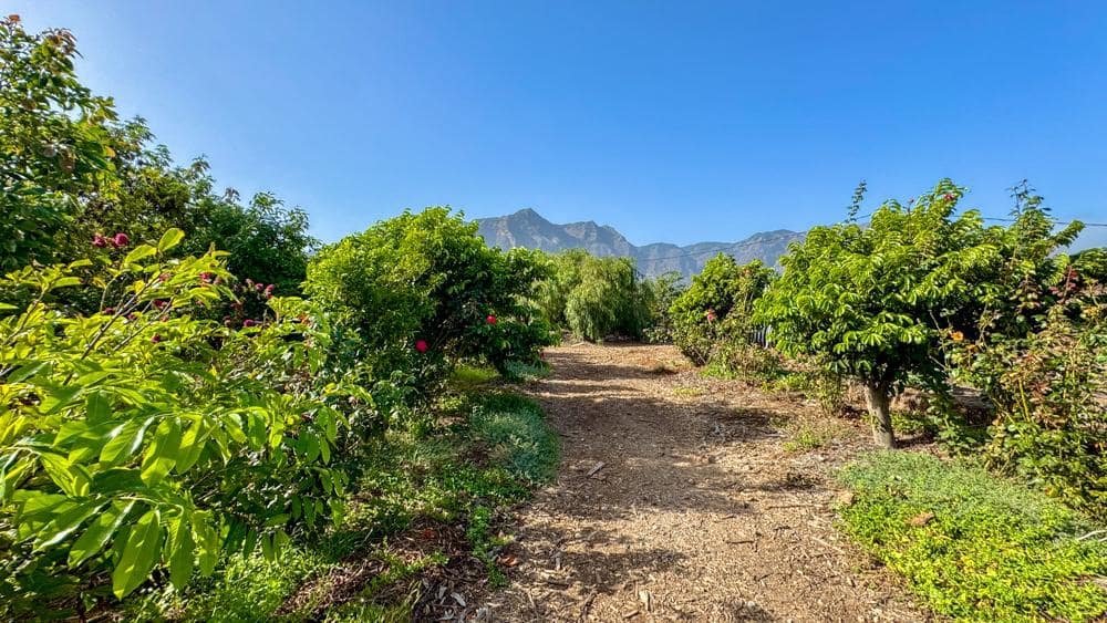 Finca/Country House for sale in Buenavista del Norte - € 890,000 (Ref: 9337037)