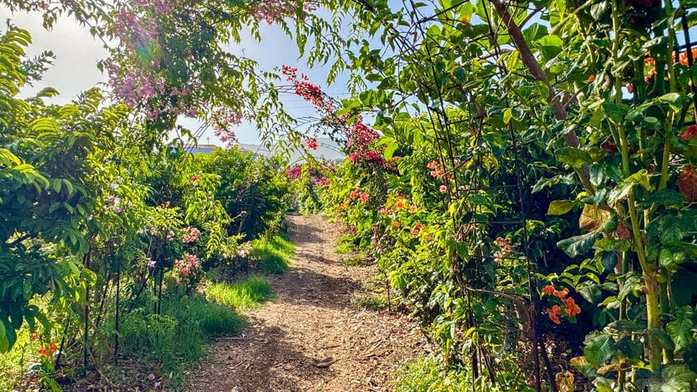 Finca/Country House for sale in Buenavista del Norte - € 890,000 (Ref: 9337037)