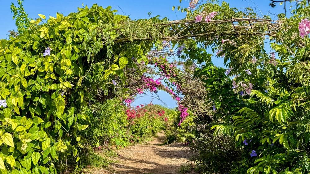 Finca/Country House for sale in Buenavista del Norte - € 890,000 (Ref: 9337037)