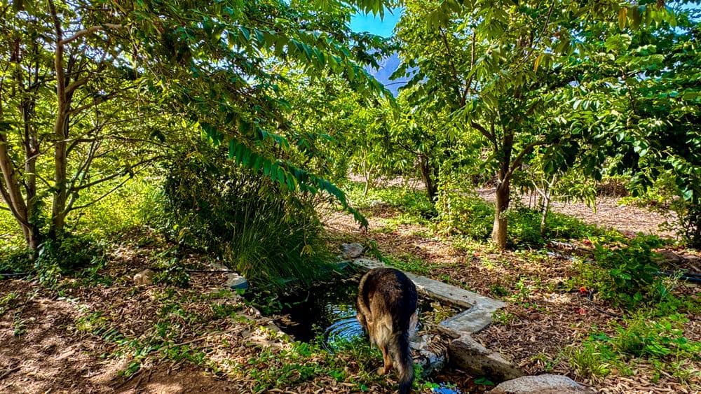 Finca/Country House for sale in Buenavista del Norte - € 890,000 (Ref: 9337037)