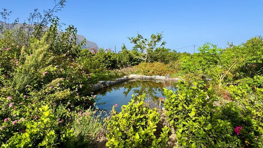 Finca/Country House for sale in Buenavista del Norte - € 890,000 (Ref: 9337037)