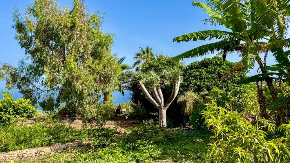 Finca/Country House for sale in Buenavista del Norte - € 890,000 (Ref: 9337037)