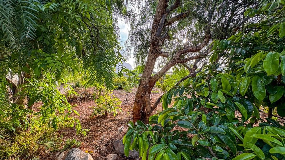 Finca/Country House for sale in Buenavista del Norte - € 890,000 (Ref: 9337037)