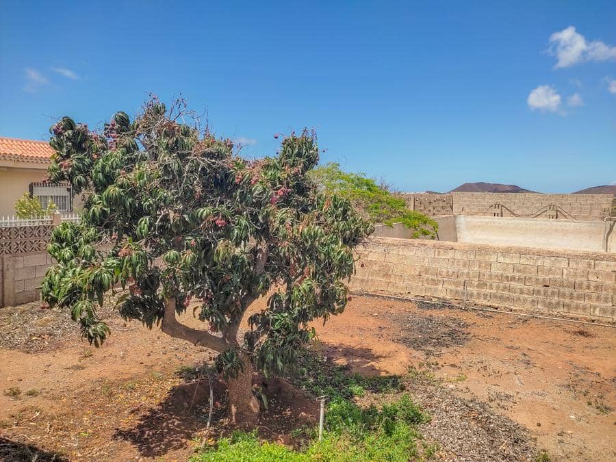 5 camera da letto Villa in vendita in Costa del Silencio - 850.000 € (Rif: 9399961)