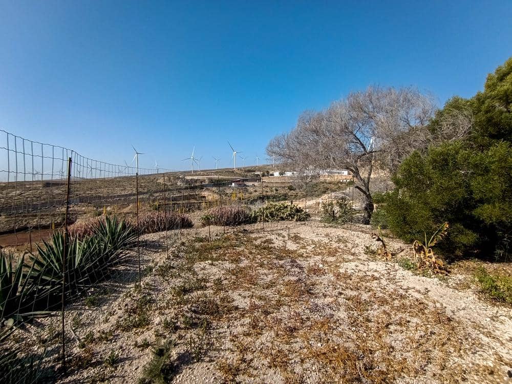 3 soveværelse Finca/Landehus til salg i Fasnia - € 490.000 (Ref: 9643592)