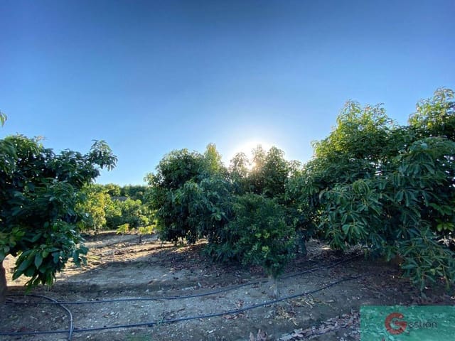 5 sypialnia Finka/Dom wiejski na sprzedaż w Salobreña z garażem - 300 000 € (Ref: 9119652)