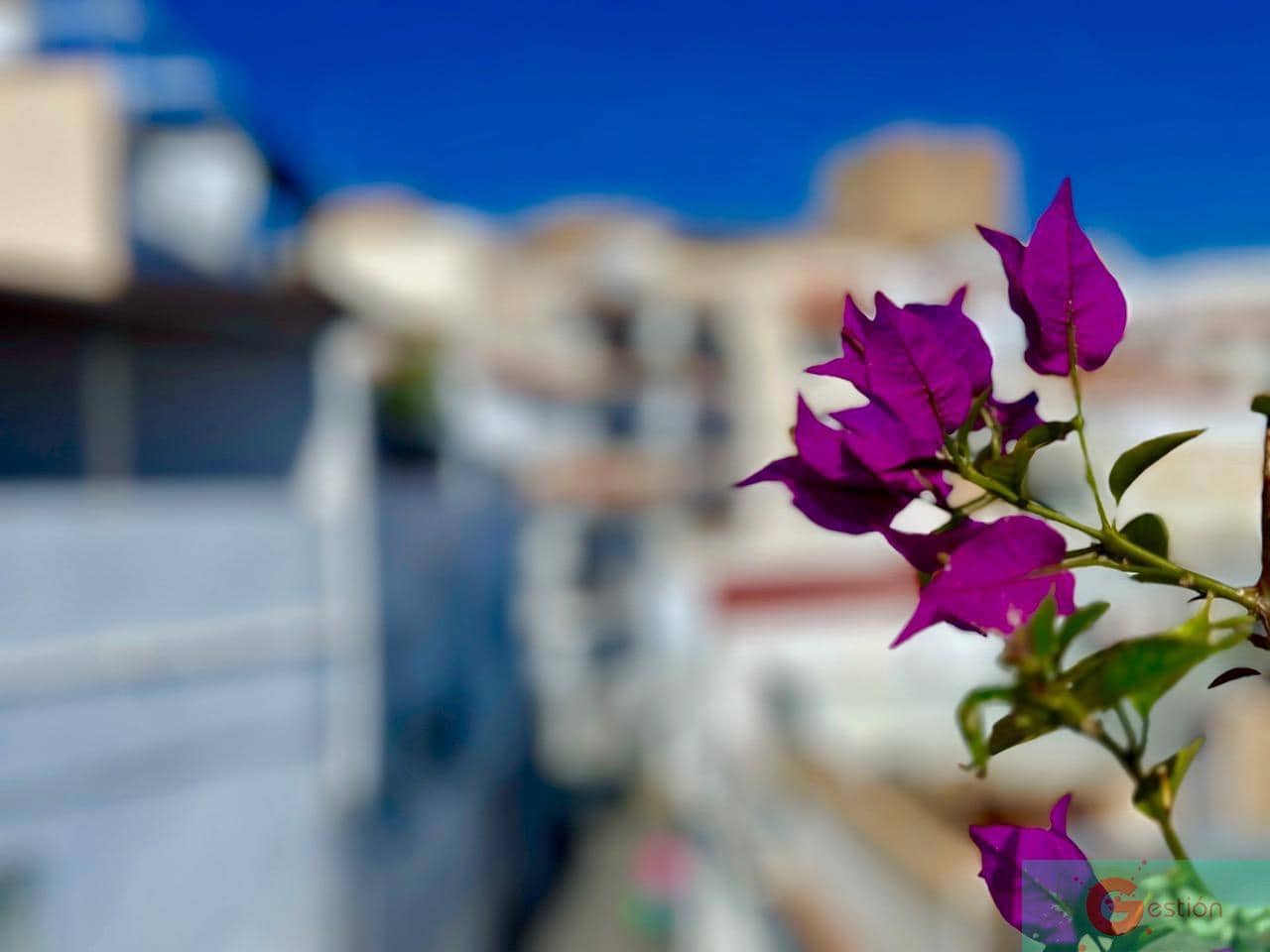 2 sovrum Hus till salu i Salobrena - 220 000 € (Ref: 9232447)