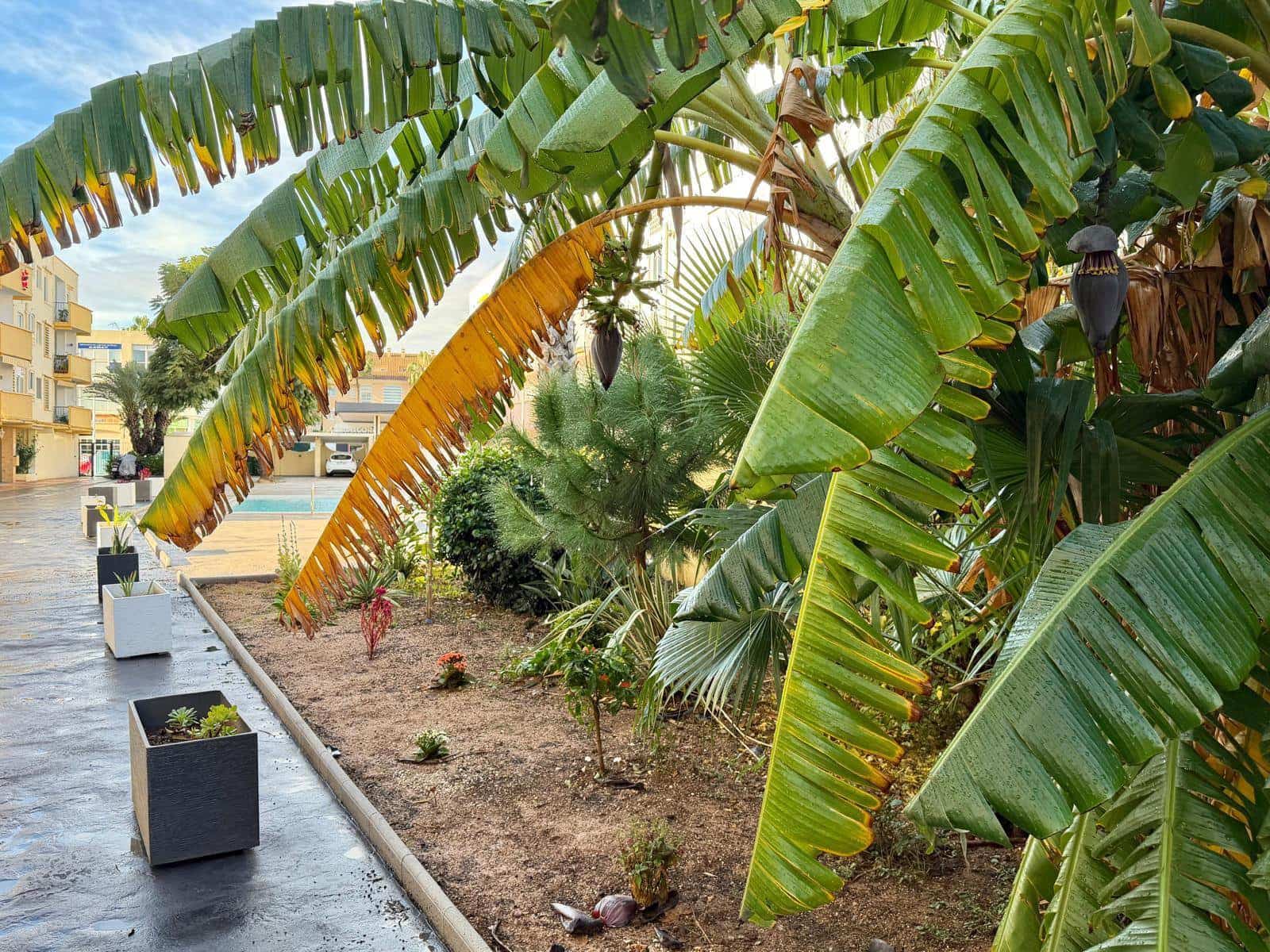 2 slaapkamer Appartement te koop in Javea / Xabia met garage - € 229.500 (Ref: 9484131)