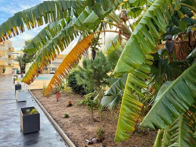 2 slaapkamer Appartement te koop in Javea / Xàbia met garage - € 229.500 (Ref: 9484131)