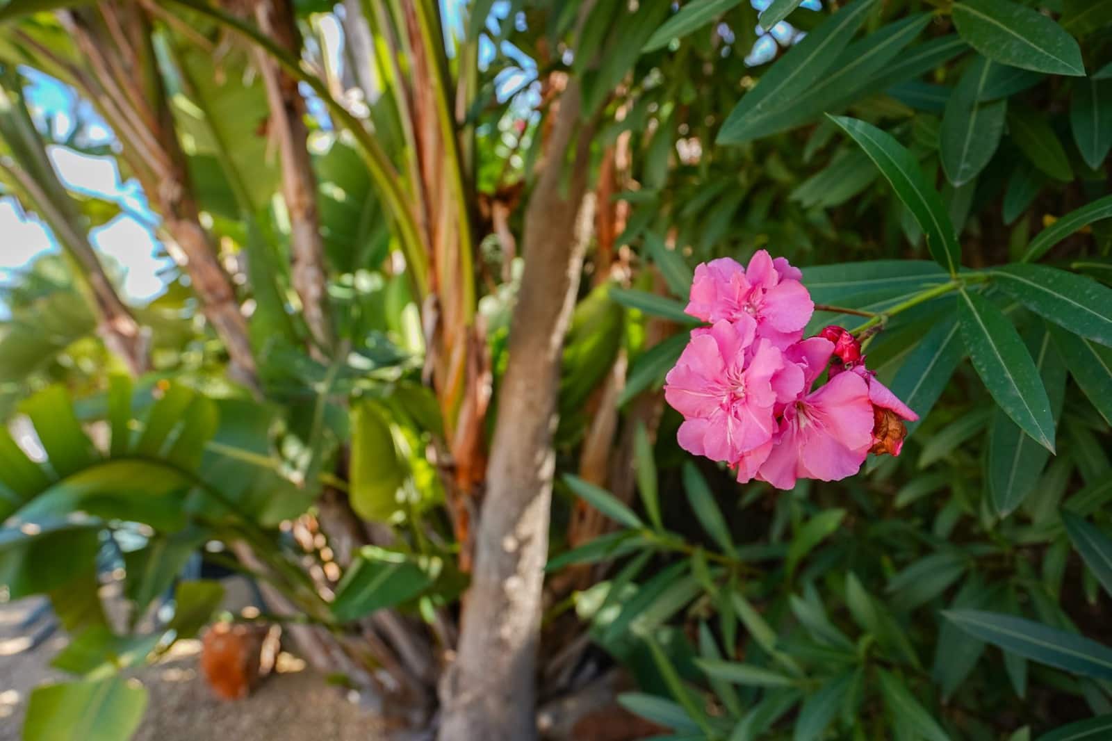 3 soverom Villa til salgs i Javea / Xabia - € 795 000 (Ref: 9484234)