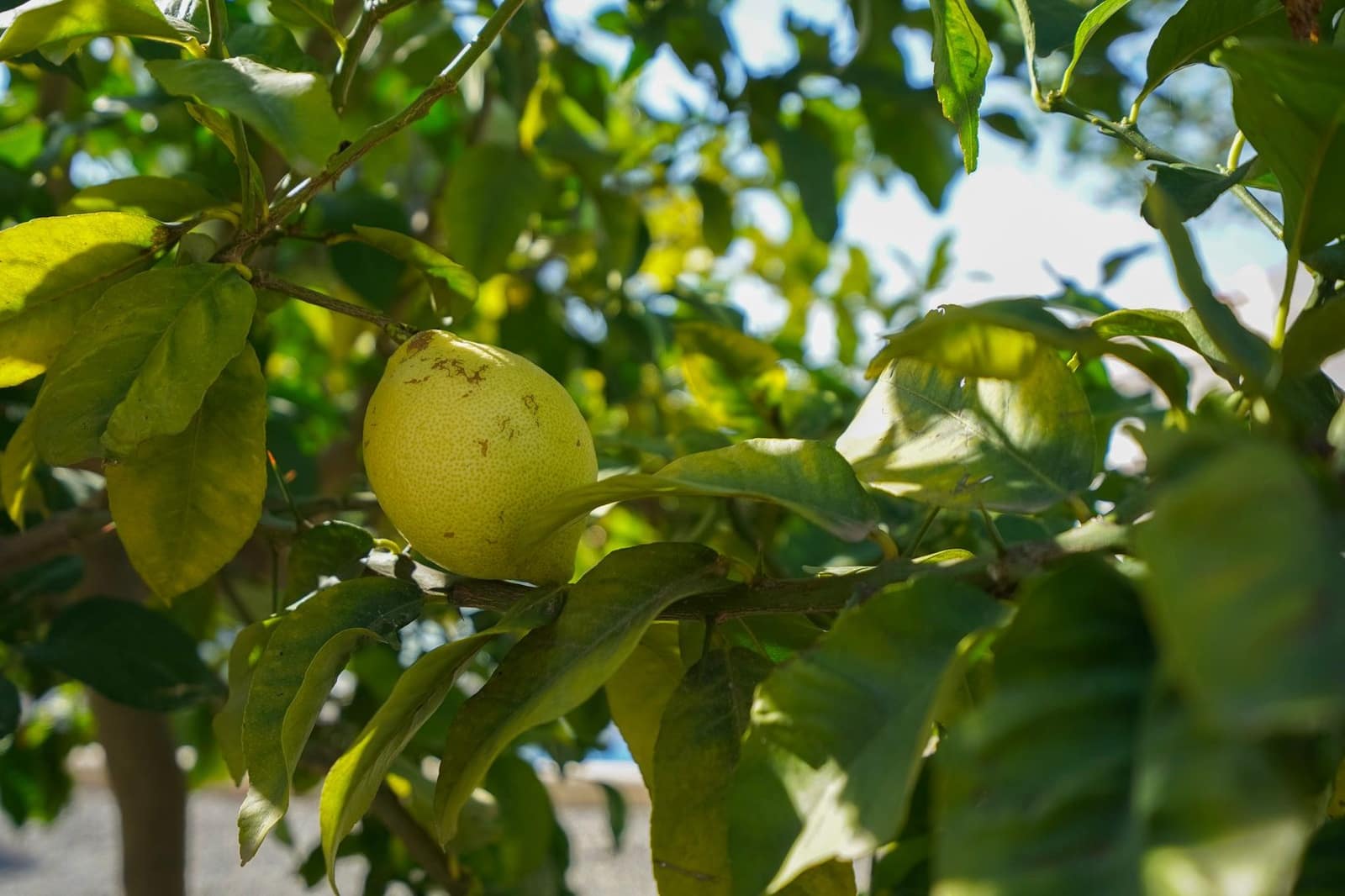 3 soveværelse Villa til salg i Benissa med garage - € 725.000 (Ref: 9484255)