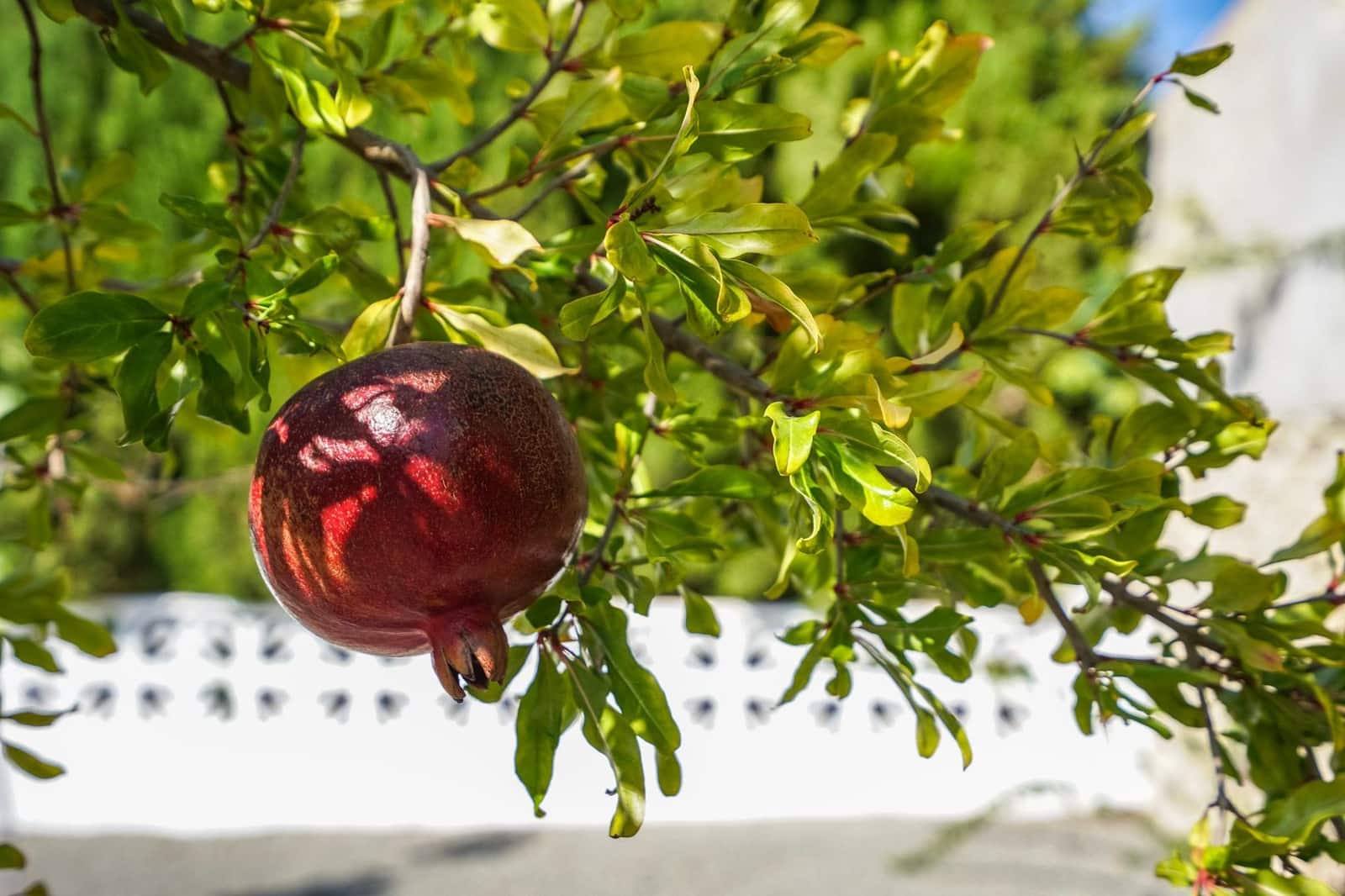 3 soveværelse Villa til salg i Benissa med garage - € 725.000 (Ref: 9484255)