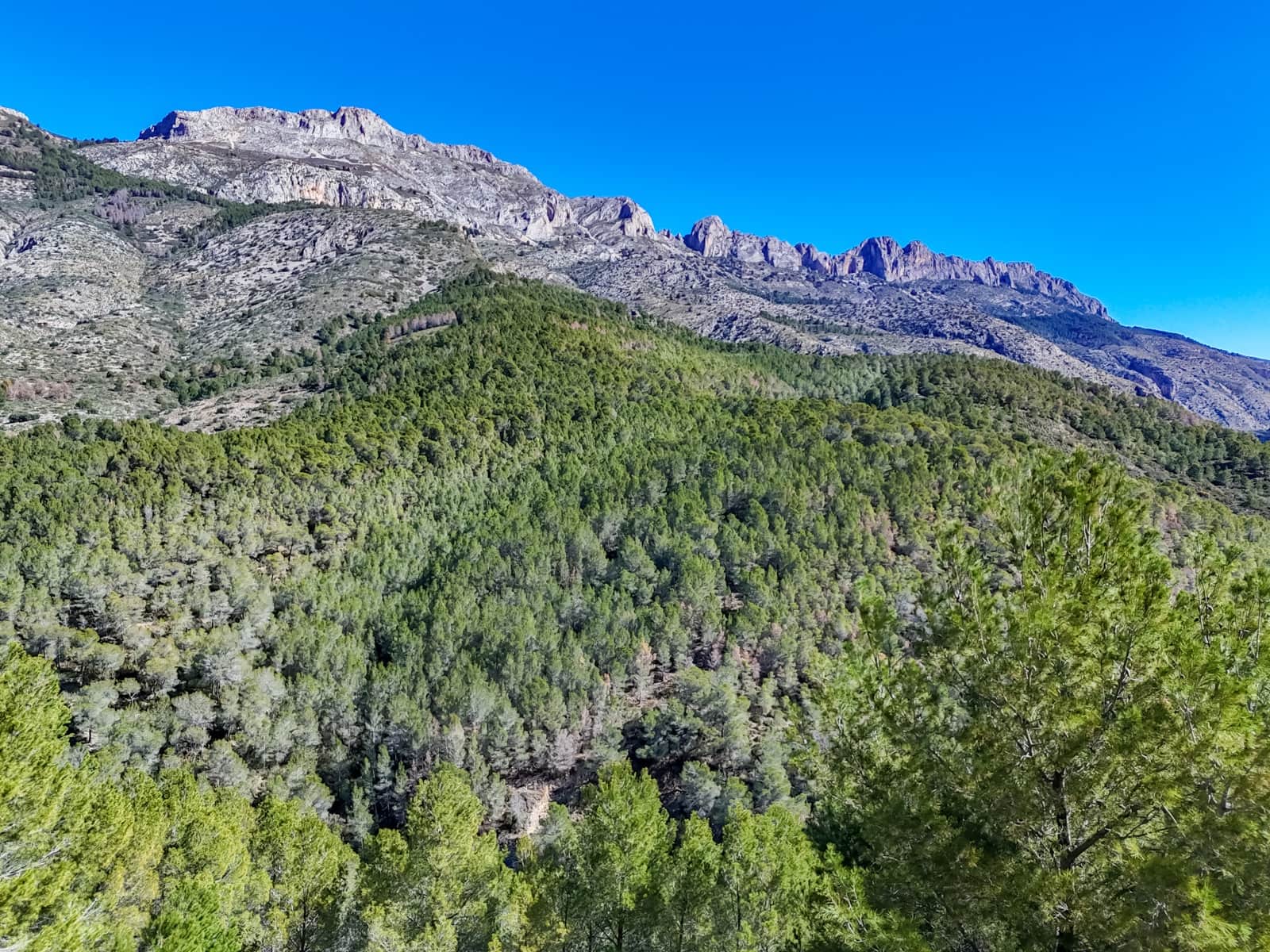 Building Plot for sale in Altea - € 190,000 (Ref: 9484513)