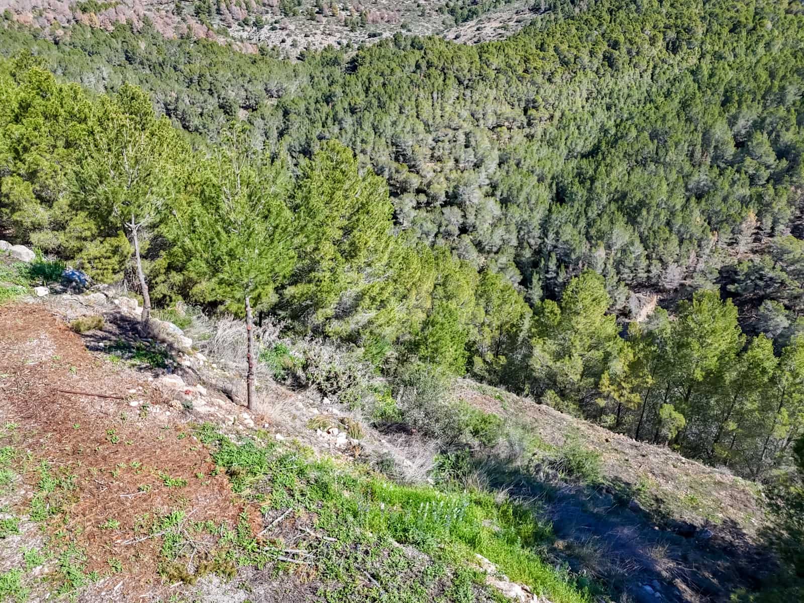 Building Plot for sale in Altea - € 190,000 (Ref: 9484513)