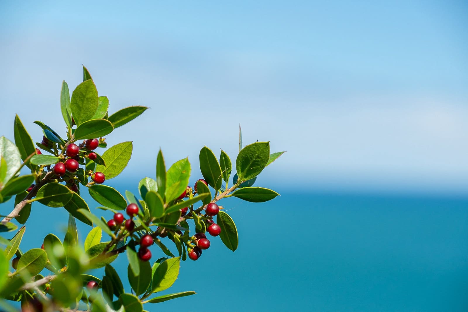 2 soveværelse Lejlighed til salg i Denia - € 425.000 (Ref: 9484544)