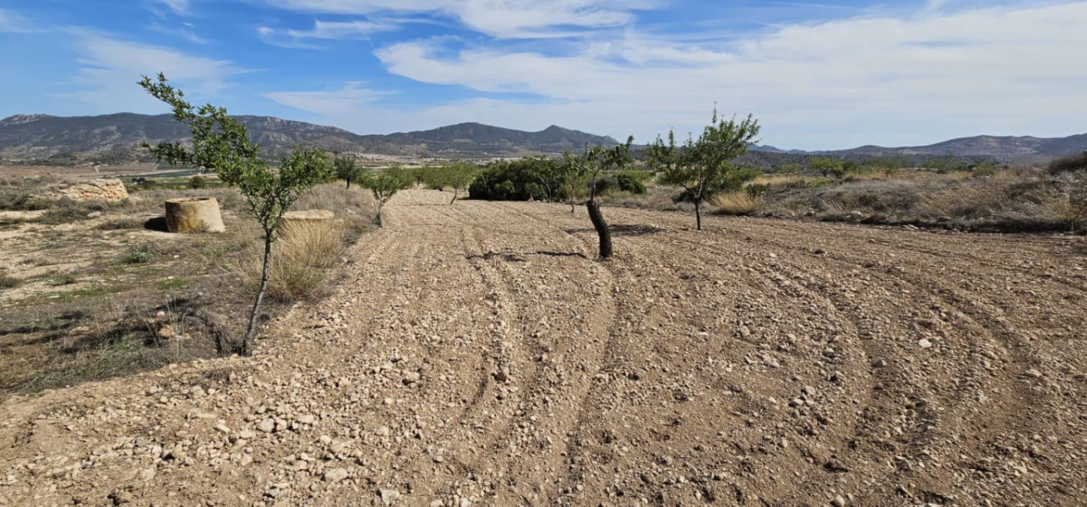 Grond te koop in La Canalosa - € 18.000 (Ref: 9484562)