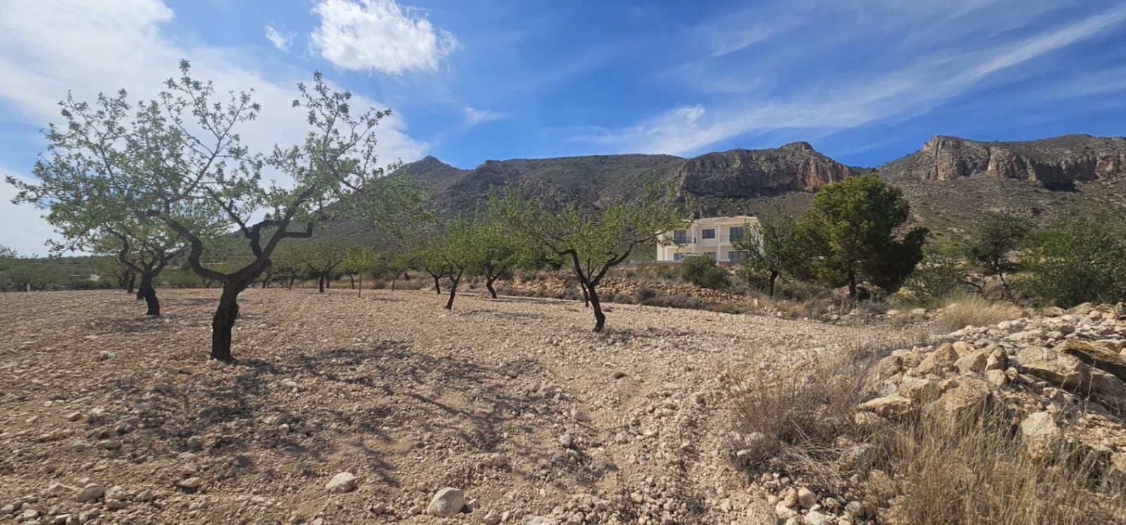 Grond te koop in La Canalosa - € 18.000 (Ref: 9484562)