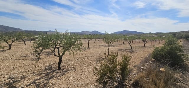 Grond te koop in La Canalosa, Hondón de las Nieves - € 18.000 (Ref: 9484562)