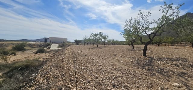 Grond te koop in La Canalosa, Hondón de las Nieves - € 18.000 (Ref: 9484562)