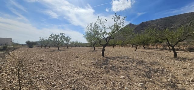 Grond te koop in La Canalosa, Hondón de las Nieves - € 18.000 (Ref: 9484562)
