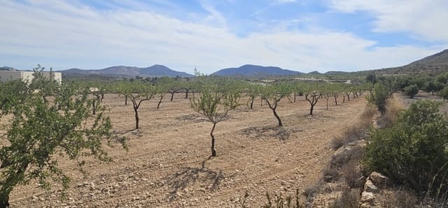 Grond te koop in La Canalosa, Hondón de las Nieves - € 18.000 (Ref: 9484562)