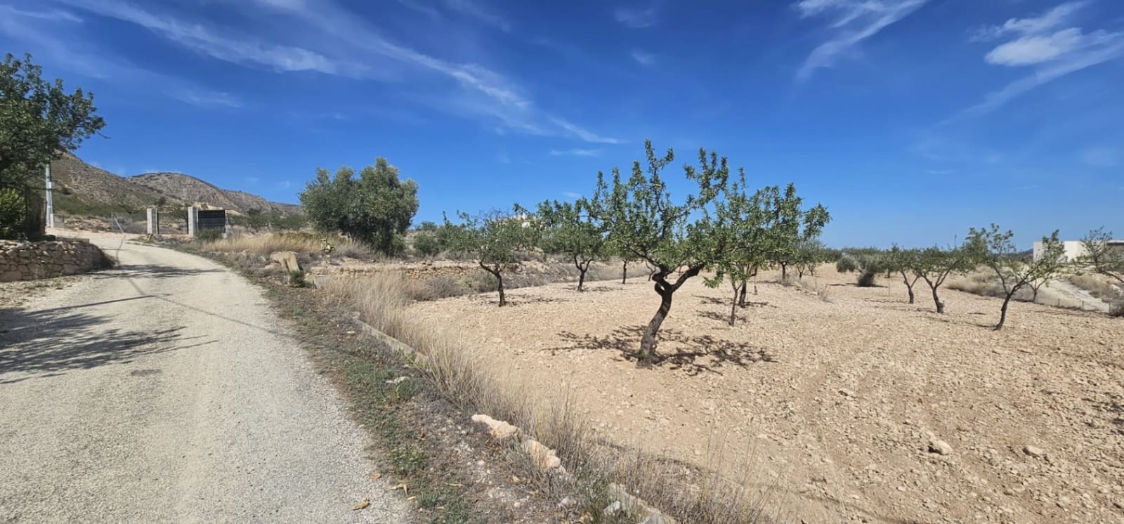 Grond te koop in La Canalosa - € 18.000 (Ref: 9484562)