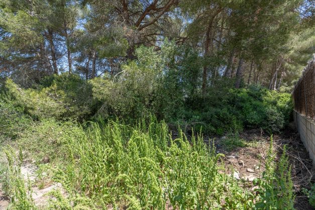 Tontti myytävänä paikassa La Granadella  - Costa Nova, Javea / Xàbia - 185 000 € (Ref: 9484711)