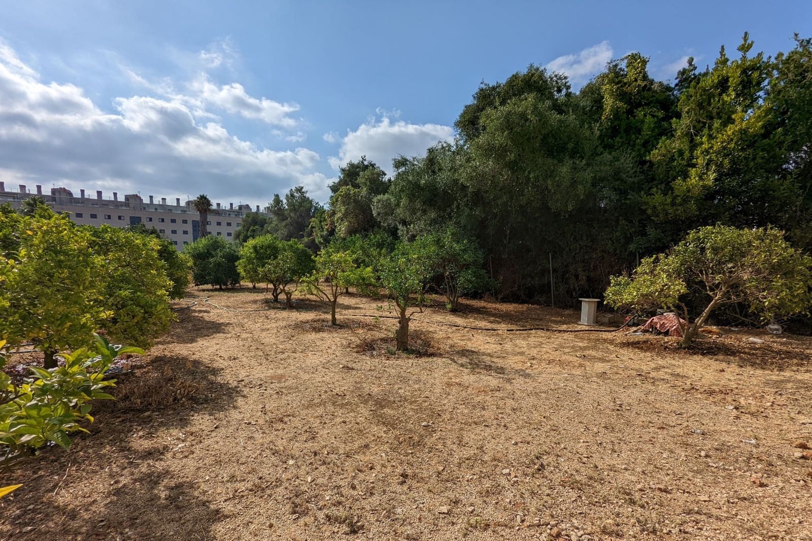 Building Plot for sale in Denia - € 585,000 (Ref: 9484763)