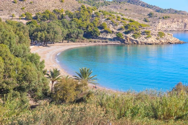 3 slaapkamer Penthouse te koop in Platja Vila Joiosa - Platja de Torres, La Villajoyosa / Vila Joiosa - € 950.000 (Ref: 9484770)