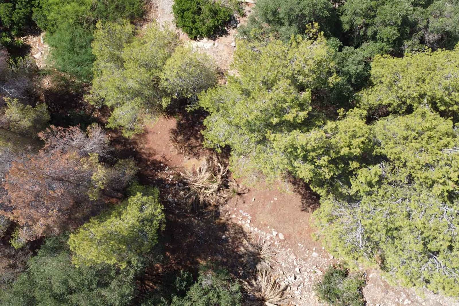 Building Plot for sale in Denia - € 305,000 (Ref: 9484786)