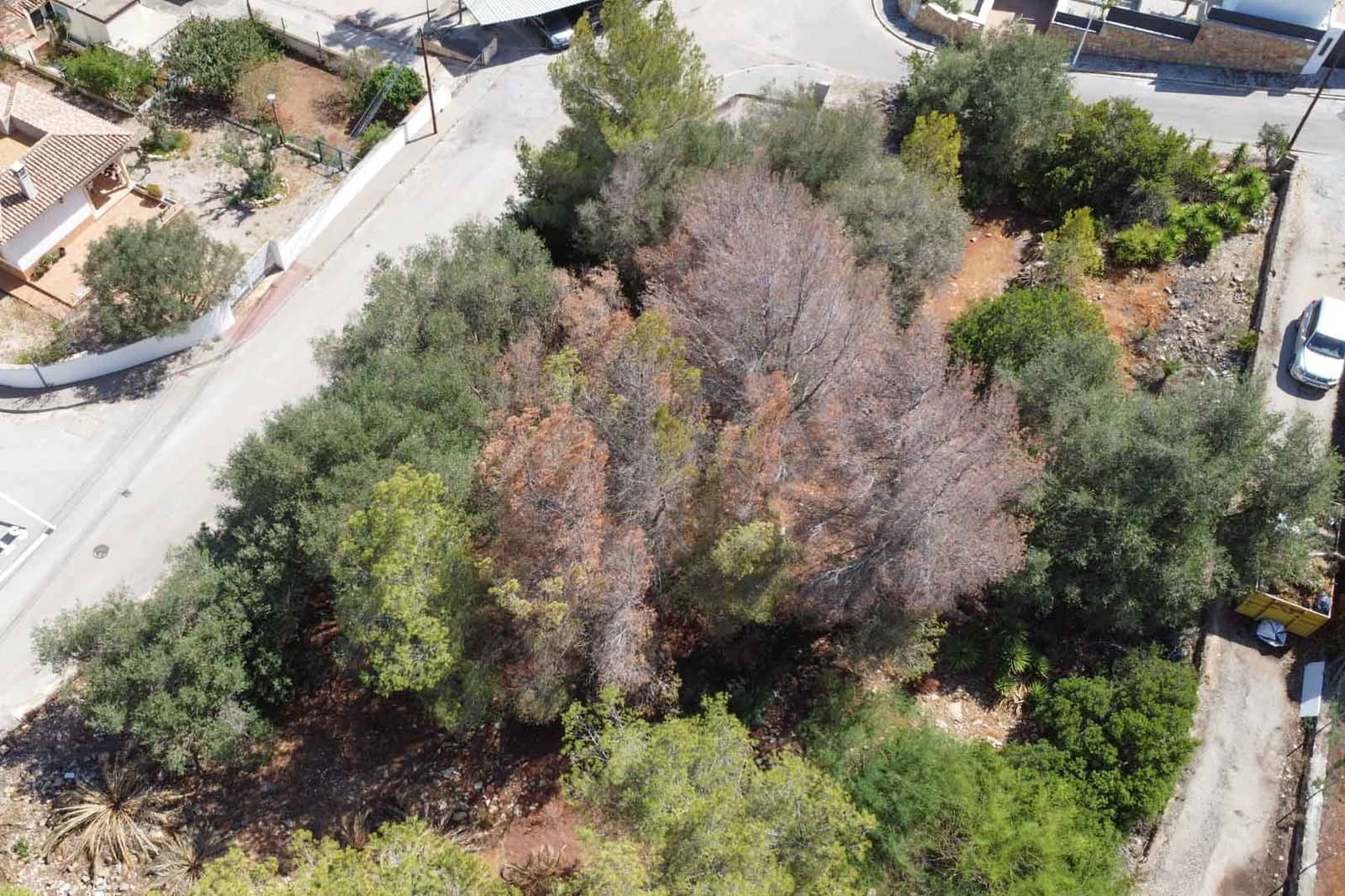 Building Plot for sale in Denia - € 305,000 (Ref: 9484786)