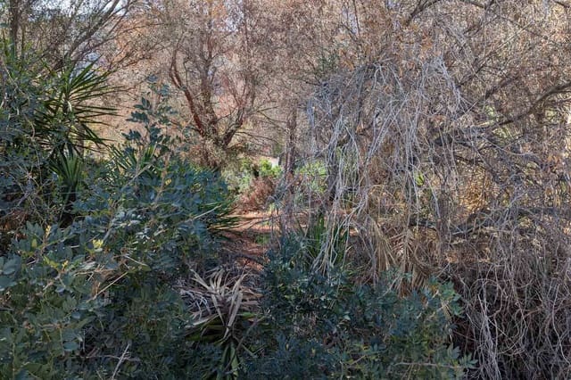 Building Plot for sale in Centro Urbano, Dénia - € 305,000 (Ref: 9484786)