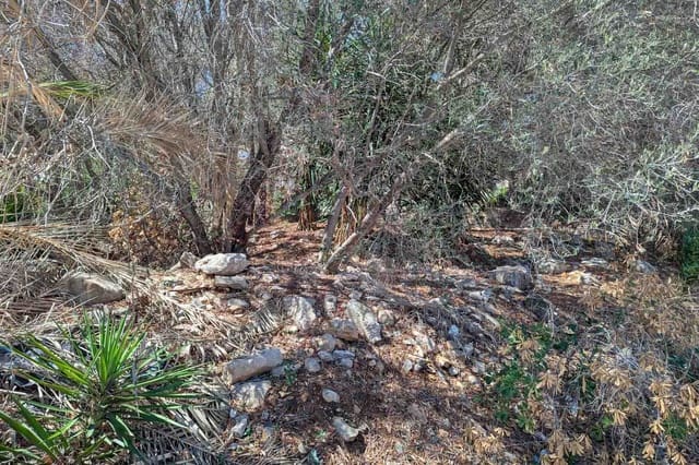 Building Plot for sale in Centro Urbano, Dénia - € 305,000 (Ref: 9484786)